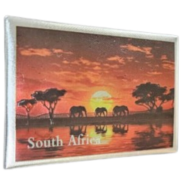 South African souvenir magnet