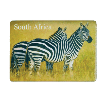 Magnet 2 Zebras South Africa Flag