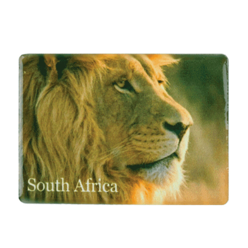 South Africa Lion fridge magnet product image