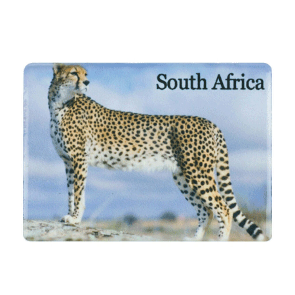 South Africa Cheetah fridge magnet product image