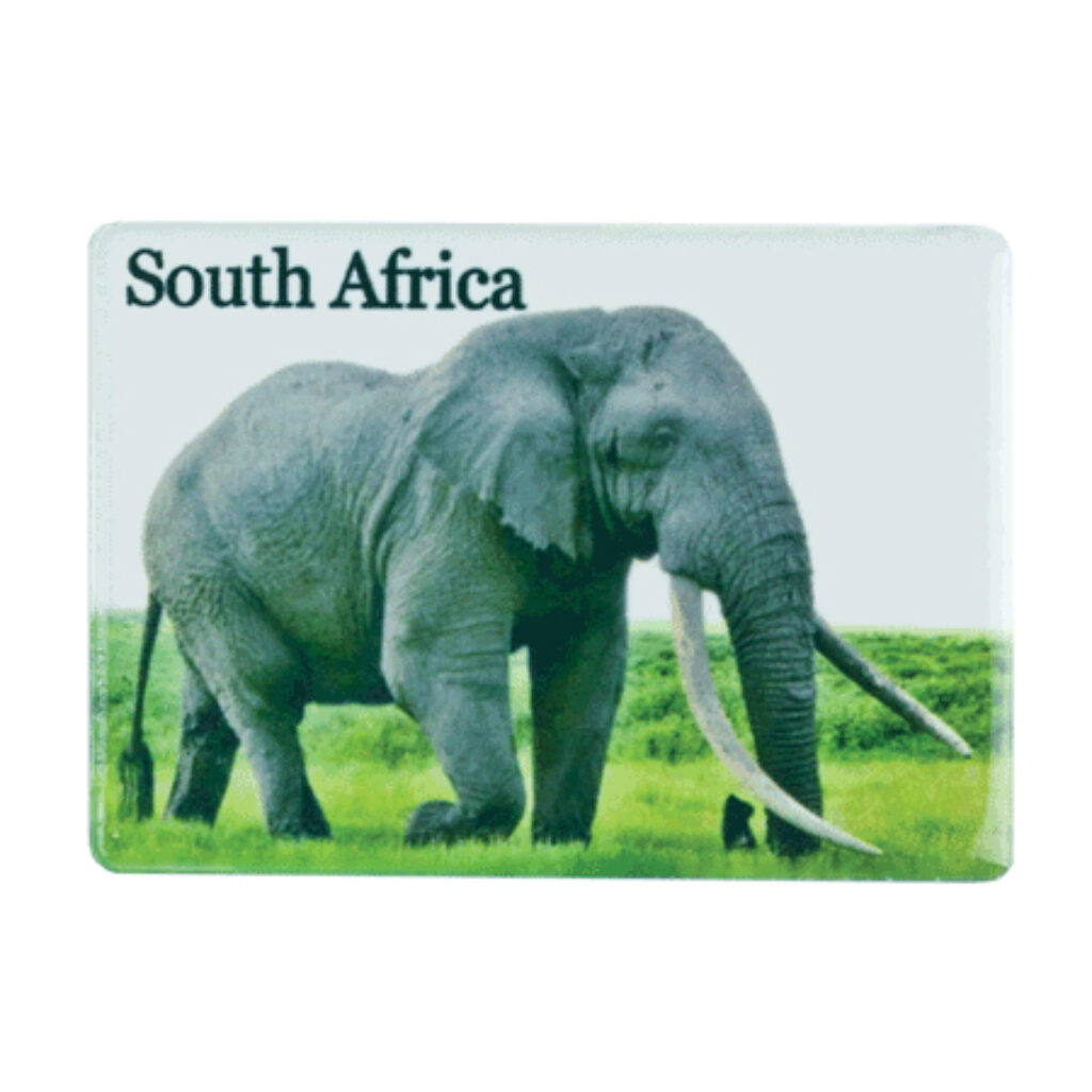 South Africa Elephant fridge magnet product image