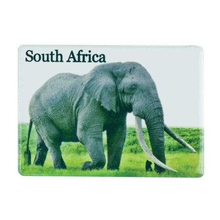 Magnet Elephant South Africa Flag
