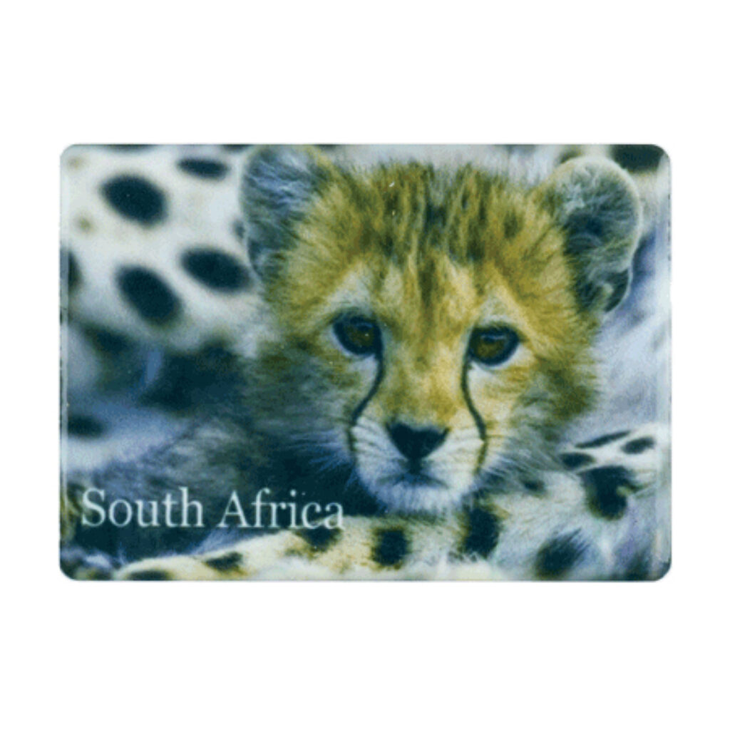 South Africa Cheetah Cub fridge magnet product image