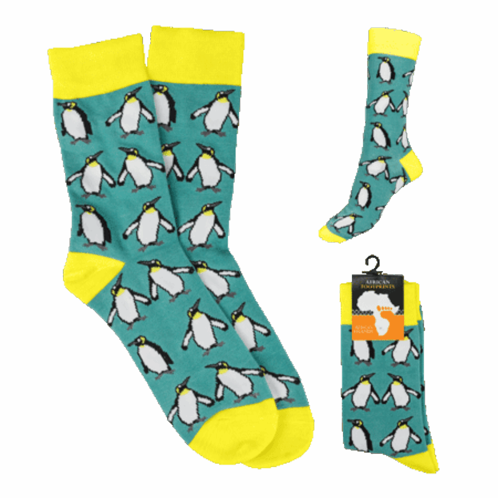 South Africa Penguin Turq socks product image
