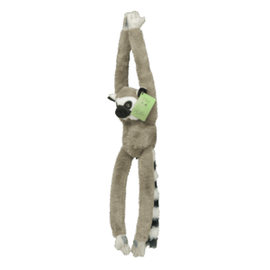 Ring Tailed Lemur 43Cm South Africa Flag