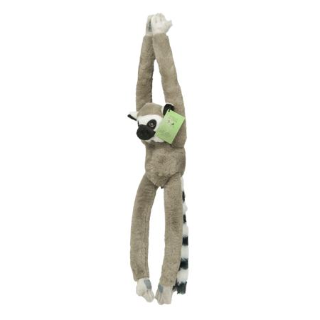 Ring Tailed Lemur 43Cm South Africa Flag