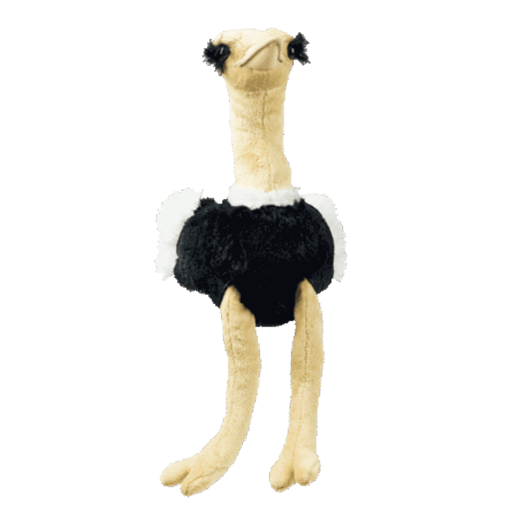 South Africa Soft Ostrich 43Cm plush toy product image