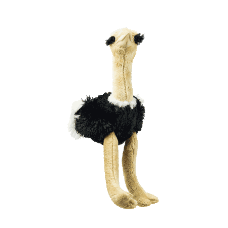 Ostrich Small 28Cm South Africa Flag