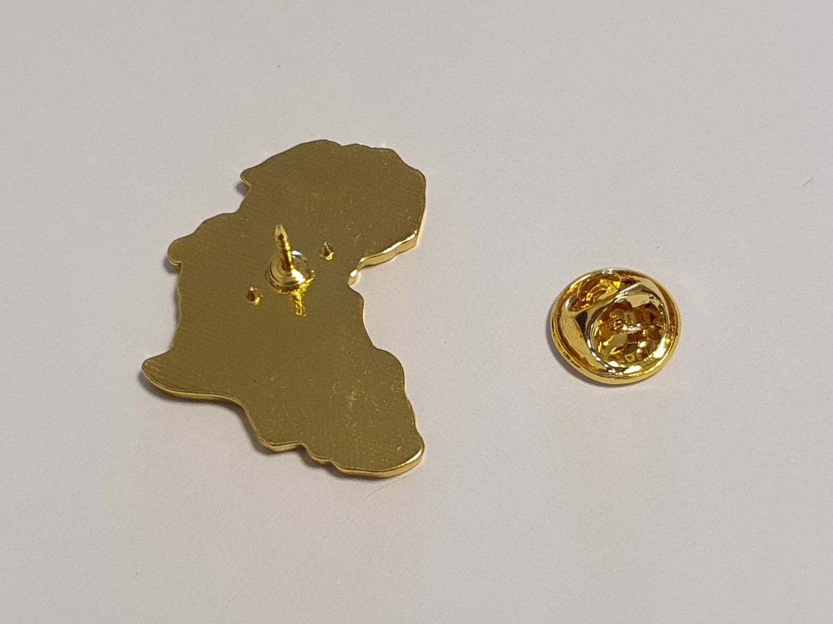 Reverse of the Africa-shaped South African flag lapel pin showing the pin post and removable clutch